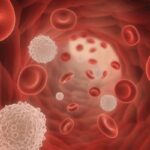 套细胞淋巴瘤新希望：伊布替尼与维奈克拉联合方案长期疗效与安全性深度解析