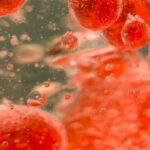 ASH 2025血液肿瘤重磅突破：多发性骨髓瘤、AML、淋巴瘤最新靶向/免疫治疗方案深度解读