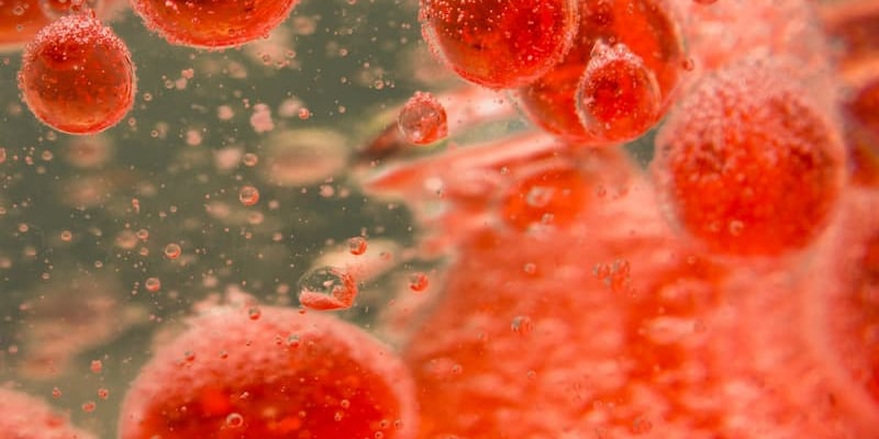 ASH 2025血液肿瘤重磅突破：多发性骨髓瘤、AML、淋巴瘤最新靶向/免疫治疗方案深度解读