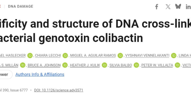 肠道毒素colibactin如何引发结直肠癌？哈佛团队揭示DNA损伤新机制