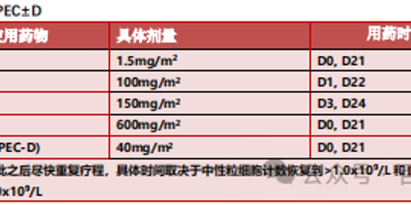 儿童神经母细胞瘤（NB）治疗：替尼泊苷方案的演变、疗效数据与最新生存率分析