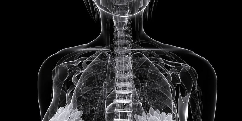 Camizestrant 治疗 ESR1 突变乳腺癌：PFS 延长超 7 个月，海外购买渠道与价格解析