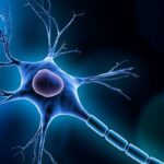 癌症神经痛怎么办？从加巴喷丁到阿片类药物的个性化治疗全解析