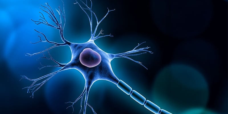 癌症神经痛怎么办？从加巴喷丁到阿片类药物的个性化治疗全解析