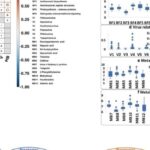 结直肠癌（CRC）治疗新思路：肠道微生物因果网络揭示精准诊断与干预潜力