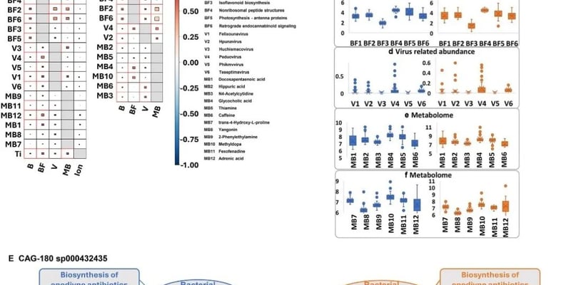 结直肠癌（CRC）治疗新思路：肠道微生物因果网络揭示精准诊断与干预潜力