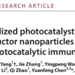 突破性进展：近红外光催化疗法为缺氧实体瘤及骨肉瘤治疗开辟新途径