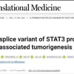 STAT3剪接变体成结直肠癌“加速器”：炎症到癌症转化的分子机制与靶向新方向