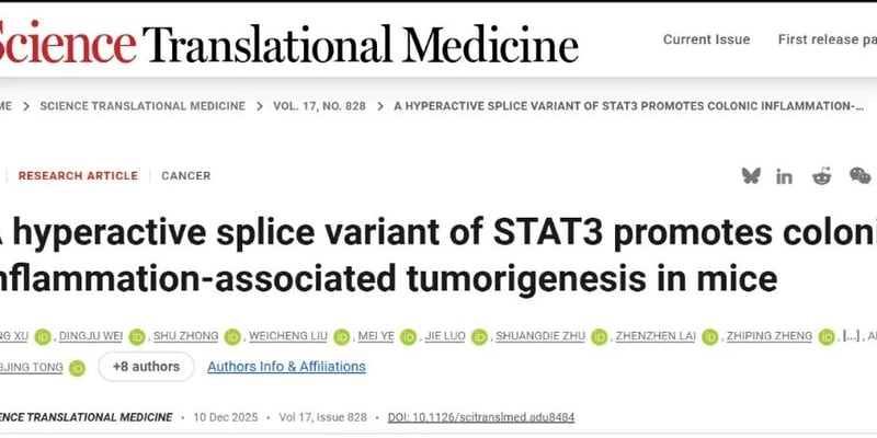 STAT3剪接变体成结直肠癌“加速器”：炎症到癌症转化的分子机制与靶向新方向