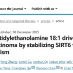 透明细胞肾细胞癌新靶点：LPE18:1驱动肿瘤进展，CAPZA1/SIRT6靶向治疗前景广阔