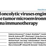 胶质母细胞瘤（GBM）治疗新突破：新型溶瘤病毒如何重塑免疫微环境？