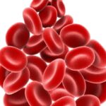 NXC-201 CAR T细胞疗法在复发难治性AL淀粉样变性中展现突破性疗效：深度缓解与良好安全性