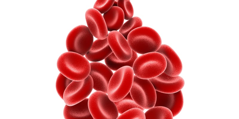 MaaT013（Zervytega）在难治性胃肠道急性移植物抗宿主病（GI-aGVHD）治疗中展现卓越疗效与安全性：III期ARES临床研究揭示新希望