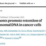 癌症耐药新解：ecDNA“搭便车”机制揭示肿瘤演化与治疗新方向