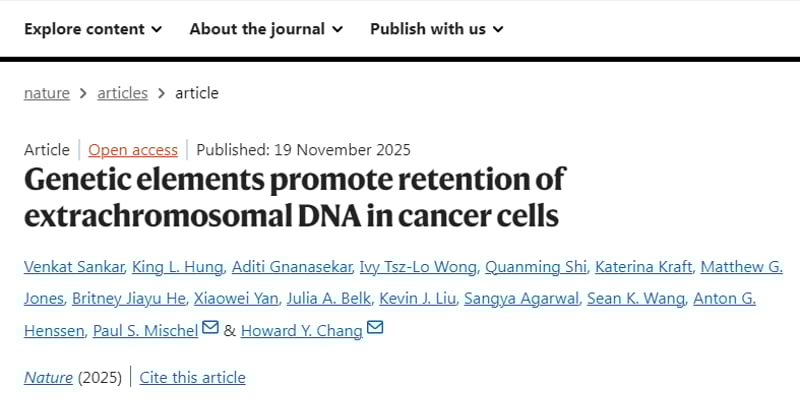 癌症耐药新解：ecDNA“搭便车”机制揭示肿瘤演化与治疗新方向