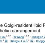 清华大学重磅研究：新型STING激动剂GNE-6468如何革新癌症免疫治疗？