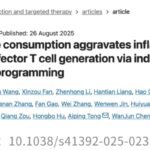 果糖如何加速结直肠癌转移？最新研究揭示机制、炎症风险与二甲双胍的潜在作用