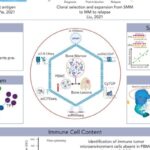 血液肿瘤（AML/MM）精准诊疗新突破：单细胞测序如何解析耐药机制与优化CAR-T方案？