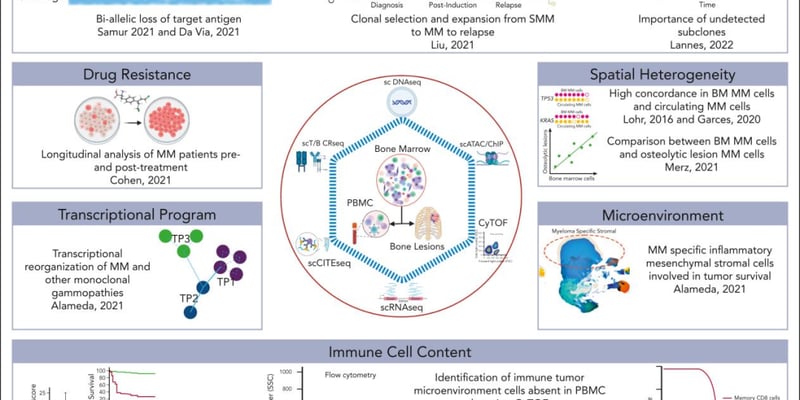 血液肿瘤（AML/MM）精准诊疗新突破：单细胞测序如何解析耐药机制与优化CAR-T方案？