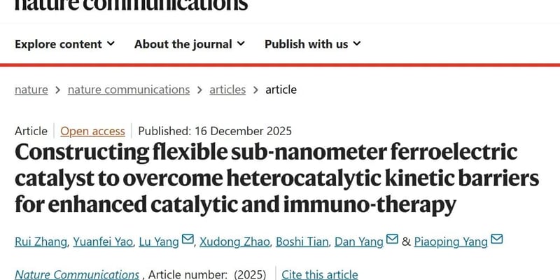 癌症治疗前沿：柔性纳米催化剂诱导肿瘤“焦亡”，激活免疫系统实现双重抗癌
