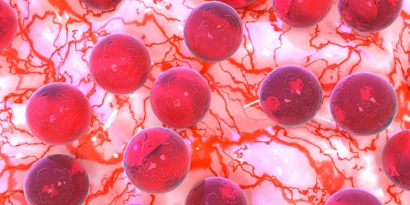 2025 ASH年会前瞻：白血病治疗新格局，维奈克拉与Ziftomenib等关键研究解读