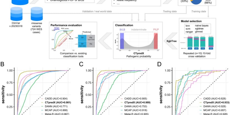 儿童癌症基因检测结果难懂？CTpredX模型如何精准解读遗传易感性错义变异