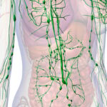 早期乳腺癌能免除前哨淋巴结活检吗？最新临床研究解读