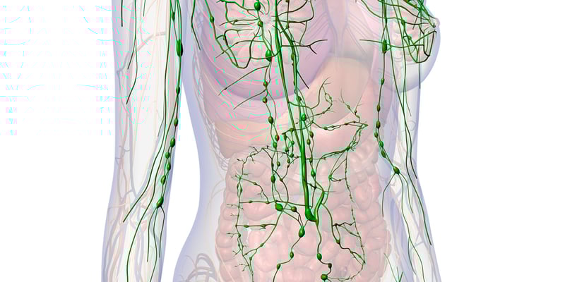 早期乳腺癌能免除前哨淋巴结活检吗？最新临床研究解读