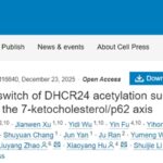 肝细胞癌（HCC）治疗新靶点：DHCR24代谢通路与FDA药物厄贝沙坦的抗癌潜力解析