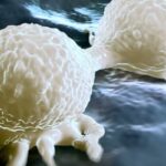 帕博利珠单抗联合放疗：HR+/HER2-早期乳腺癌治疗新突破与疗效解析