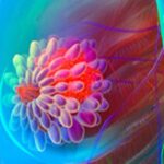 HER2阳性转移性乳腺癌一线维持治疗新突破：图卡替尼显著延缓疾病进展，疗效数据与购买渠道解析