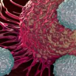 多发性骨髓瘤新突破：特立妥单抗（Teclistamab）停药方案与持续治疗疗效相当？LimiTEC研究深度解读