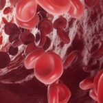 DREAMM-8研究：Belantamab Mafodotin联合疗法显著改善多发性骨髓瘤患者PFS与MRD阴性率，疗效持久