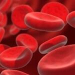 新型BCMA CAR-T疗法KLN-1010：复发/难治性多发性骨髓瘤患者的治疗新希望