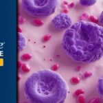 维奈克拉新选择？Lisaftoclax在复发/难治性CLL/SLL患者中展现卓越疗效与安全性