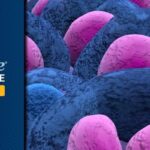 Anito-cel (BCMA CAR T) 治疗复发/难治多发性骨髓瘤：iMMagine-1研究揭示持久缓解与高CR率