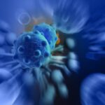 BCMA CAR-T新突破：CT0596治疗复发/难治性多发性骨髓瘤（R/R MM）I期数据深度解读