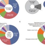 EGFR靶点新视野：除肺癌外，结直肠癌、胃癌等实体瘤EGFR变异率有多高？