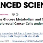 结直肠癌治疗新靶点：ACSL5如何影响奥沙利铂化疗敏感性与患者预后？