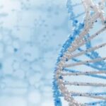 靶向BRCA突变与Polθ：PARP抑制剂联手新型疗法，攻克癌症耐药性与治疗新希望