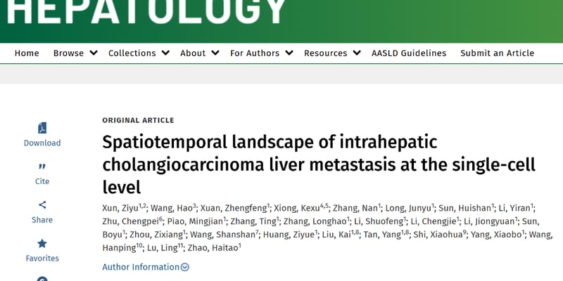 iCCA肝内胆管癌肝转移机制新突破：COL3A1揭示侵袭与定植关键通路，晚期治疗新靶点