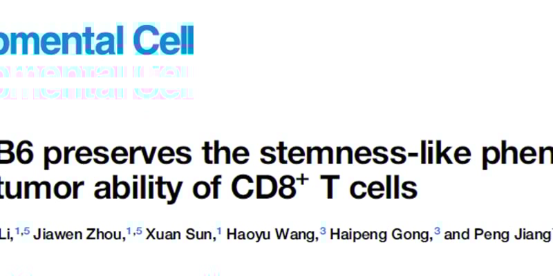 维生素B6如何“重启”抗癌T细胞？最新研究揭示其增强抗PD-1免疫疗法疗效的机制与临床前景