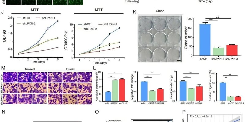 食管鳞癌免疫治疗新突破：LPXN/PD-L1共表达如何精准预测PD-1抑制剂疗效？