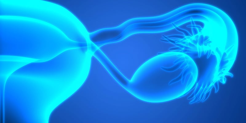 氟唑帕利（Fuzuloparib）维持治疗晚期卵巢癌：PFS数据、BRCA突变人群疗效与用药选择