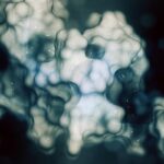 Elranatamab联合疗法治疗多发性骨髓瘤：CRS风险与肿瘤负荷无关，患者如何安全用药？