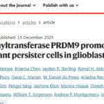 胶质母细胞瘤复发“密码”破解：靶向PRDM9和胆固醇，新型疗法延长生存期