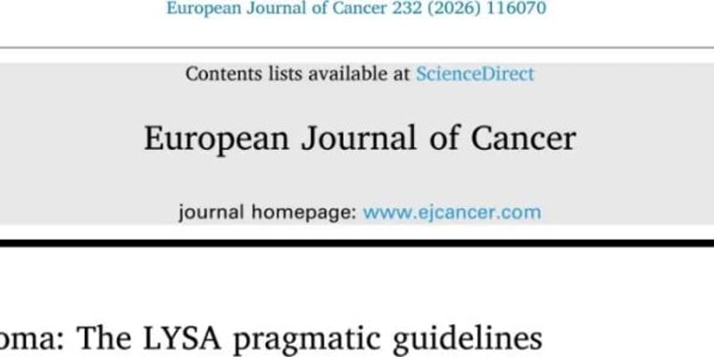 大B细胞淋巴瘤最新诊疗指南：CAR T、双抗等治疗方案深度解析