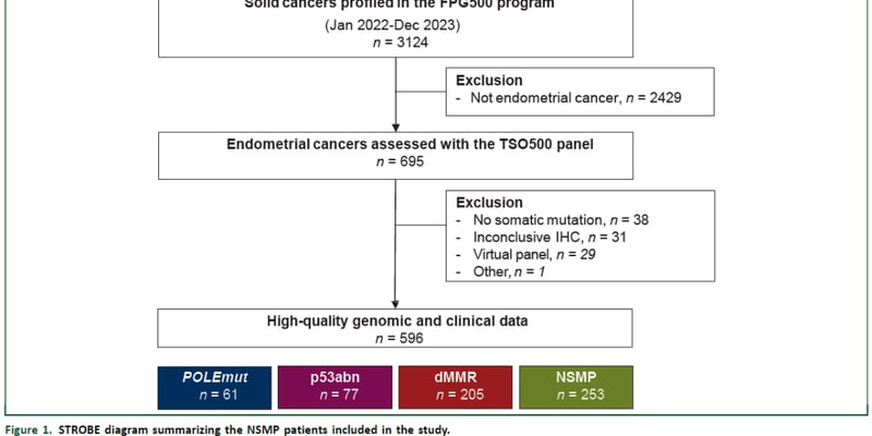 NSMP子宫内膜癌治疗新突破：92%患者发现可靶向基因，带来精准用药希望