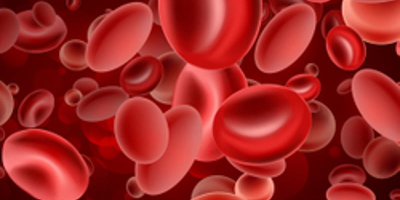 [多发性骨髓瘤] 男性患者病情更重？IMAGE研究揭示性别差异与治疗新思路