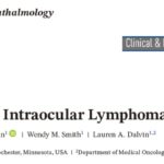 眼内淋巴瘤：被称为“伪装者”的眼底杀手，如何通过多模态影像精准识别与治疗？